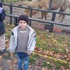   Vlad