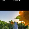  ,  , 27