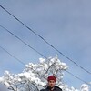   Swissteem