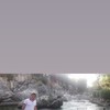   Sargis
