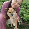  Baotou,  , 33