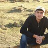   Arman