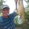  ,  Tariel, 54