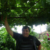   Stoyan