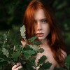  ,  , 28