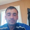   Zaur