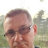  Steinfeld,  Ը, 52