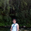   Koly