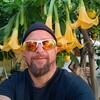  ,  DabombVibe, 33