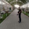   Oleg An